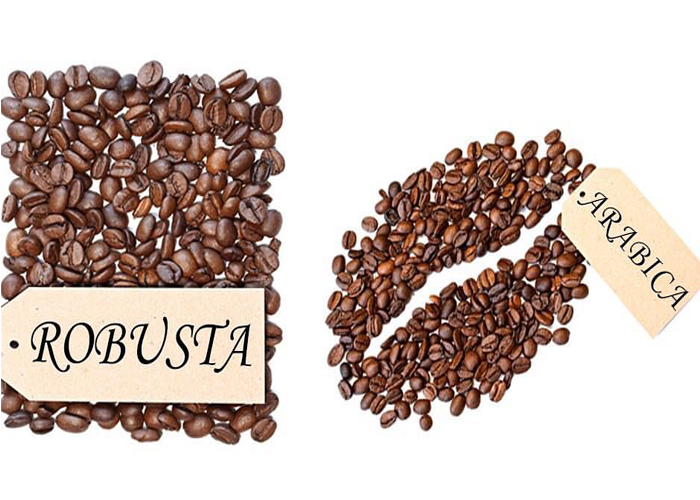 robusta_vs_arabica